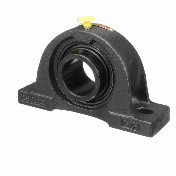 Mounted Cast Iron Two Bolt Pillow Block Ball Bearing, NP-28C